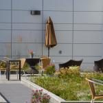 CV rooftop garden 2 (6)